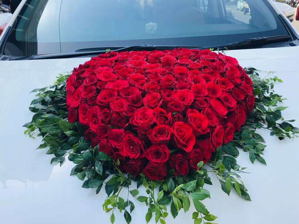 Heart of red roses with green leaves on the bonnet of a white car