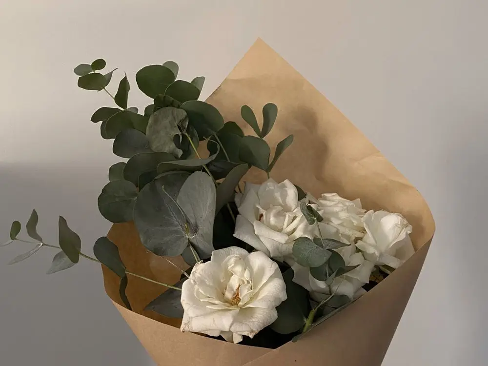 Bouquet of white roses and eucalyptus wrapped in kraft paper against a white wall