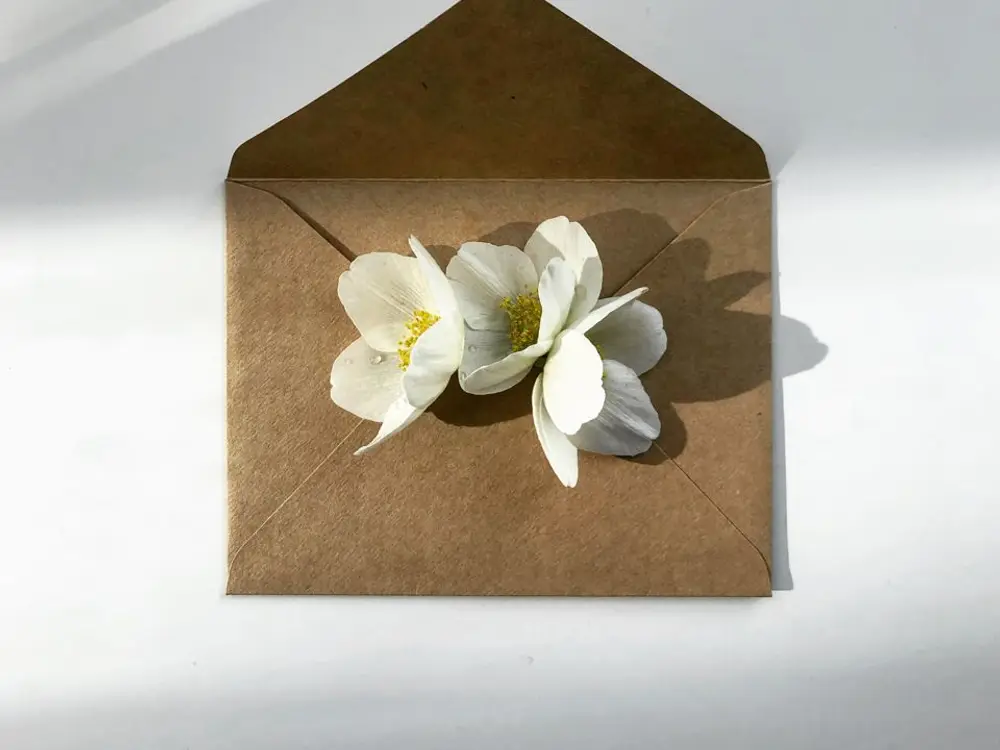 Kraft paper envelope with two white flowers resting on it in soft window light