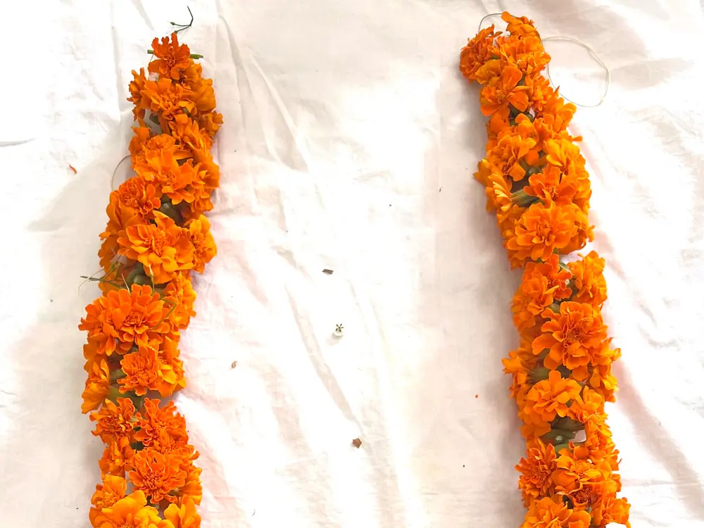 Pair of orange marigold varmalas with baby's breath laid on a white cloth