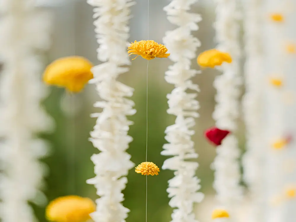 Strings of white jasmine hanging with marigold flowers