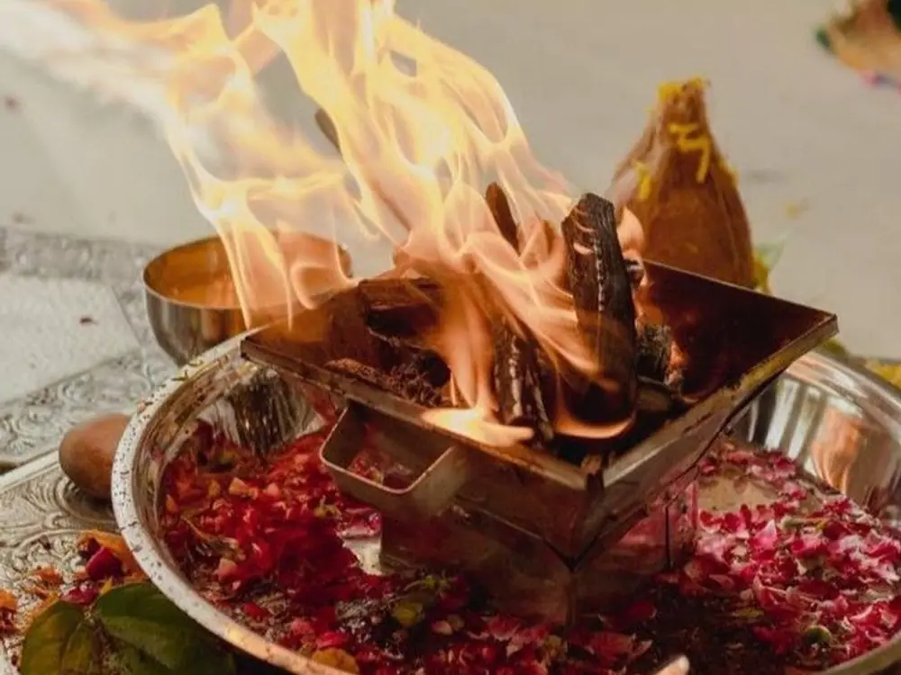 Havan flames in a brass kund filled with red rose petals