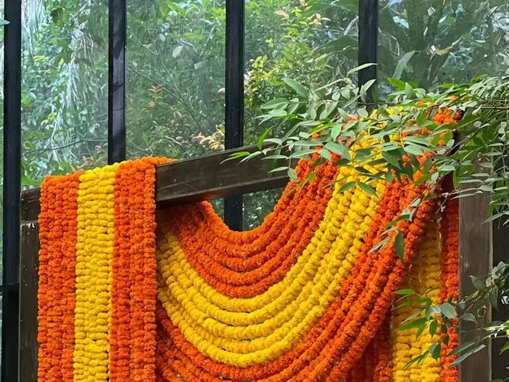 Orange and yellow marigold garland drape over a wooden frame with two gold chairs and pink roses in a floor arrangement